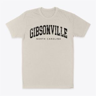 Gibsonville North Carolina Urban Vibe Classic Dad T-Shirt