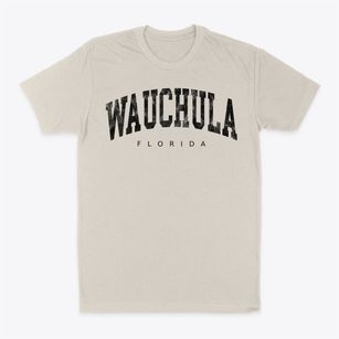 Wauchula Florida Urban Vibe Classic Dad T-Shirt