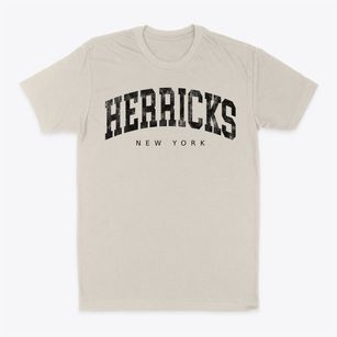 Herricks New York Urban Vibe Classic Dad T-Shirt