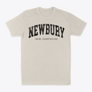 Newbury New Hampshire Urban Vibe Classic Dad T-Shirt