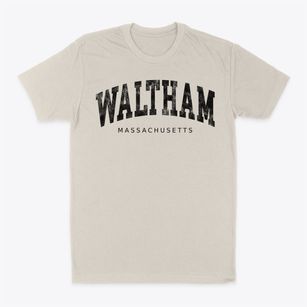 Waltham Massachusetts Urban Vibe Classic Dad T-Shirt