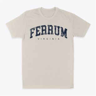 Ferrum Virginia Urban Vibe Classic Dad T-Shirt