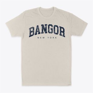 Bangor New York Urban Vibe Classic Dad T-Shirt