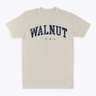 Walnut Iowa Urban Vibe Classic Dad T-Shirt