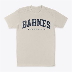 Barnes Wisconsin Urban Vibe Classic Dad T-Shirt