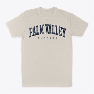 Palm Valley Florida Urban Vibe Classic Dad T-Shirt