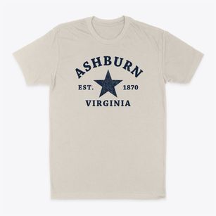 Ashburn Virginia Star Classic Dad T-Shirt