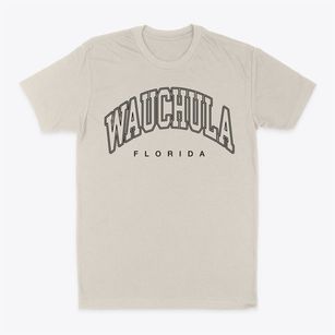 Wauchula Florida Inline Classic Dad T-Shirt