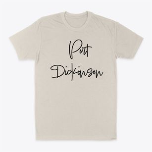 Port Dickinson New York Freestyle Classic Dad T-Shirt