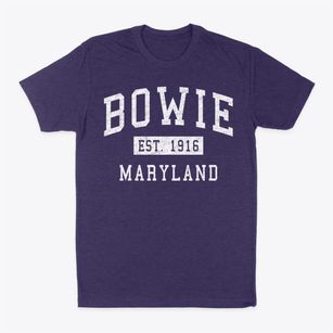Bowie Maryland Classic Established Classic Dad T-Shirt