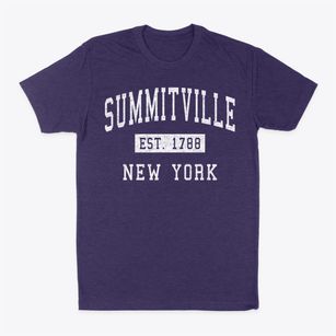 Summitville New York Classic Established Classic Dad T-Shirt