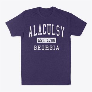 Alaculsy Georgia Classic Established Classic Dad T-Shirt