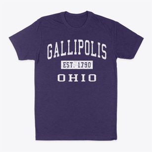Gallipolis Ohio Classic Established Classic Dad T-Shirt