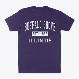 Buffalo Grove Illinois Classic Established Classic Dad T-Shirt