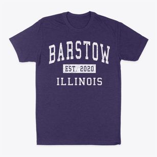 Barstow Illinois Classic Established Classic Dad T-Shirt