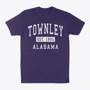 Townley Alabama Classic Established Classic Dad T-Shirt