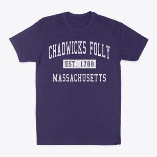 Chadwicks Folly Massachusetts Classic Established Classic Dad T-Shirt
