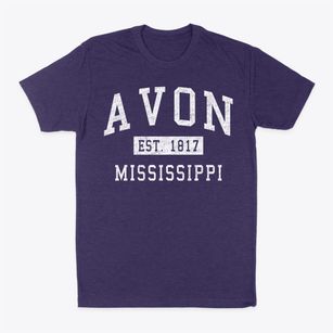 Avon Mississippi Classic Established Classic Dad T-Shirt