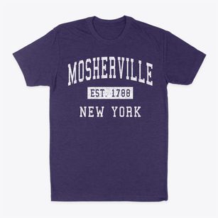 Mosherville New York Classic Established Classic Dad T-Shirt