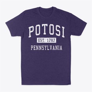 Potosi Pennsylvania Classic Established Classic Dad T-Shirt