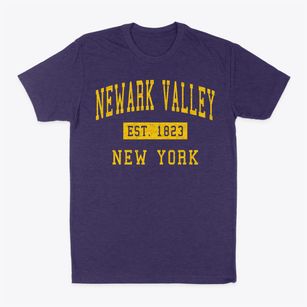 Newark Valley New York Classic Established Classic Dad T-Shirt