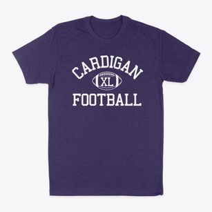 Cardigan Mountain School Classic Football Classic Dad T-Shirt