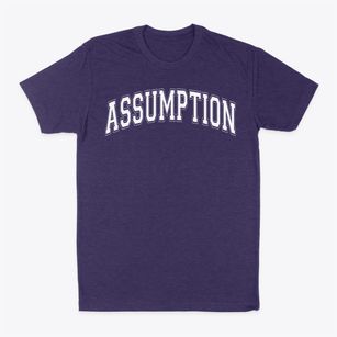 Assumption Catholic School Varsity Arch Classic Dad T-Shirt