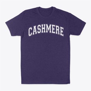 Cashmere Middle School Varsity Arch Classic Dad T-Shirt