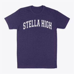 Stella High Charter Academy Varsity Arch Classic Dad T-Shirt