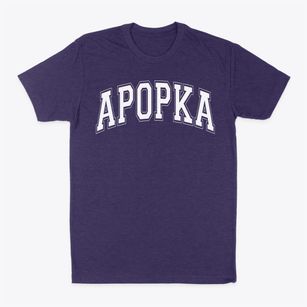 Apopka Christian Academy Varsity Arch Classic Dad T-Shirt