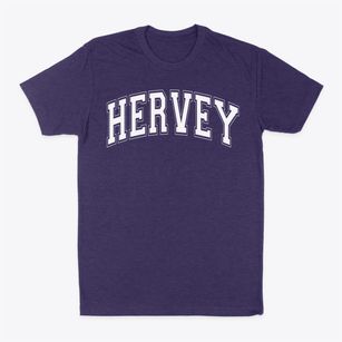 Hervey Primary School Varsity Arch Classic Dad T-Shirt