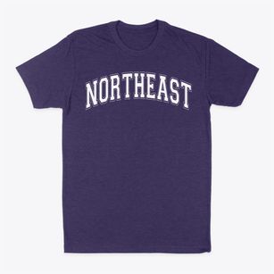 Northeast Elementary School Varsity Arch Classic Dad T-Shirt