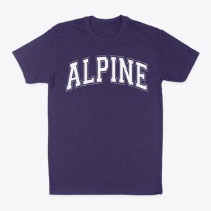 Alpine Elementary School Varsity Arch Classic Dad T-Shirt
