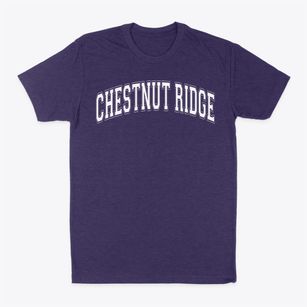 Chestnut Ridge Elementary School Varsity Arch Classic Dad T-Shirt