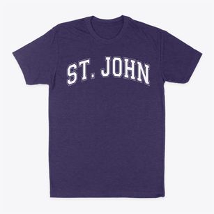 Saint John The Baptist School Varsity Arch Classic Dad T-Shirt