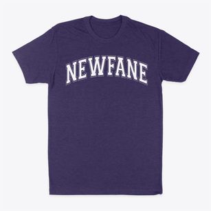 Newfane Elementary School Varsity Arch Classic Dad T-Shirt