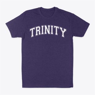 Trinity Elementary School Varsity Arch Classic Dad T-Shirt