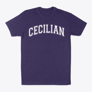 Cecilian Academy Varsity Arch Classic Dad T-Shirt