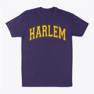 Harlem Elementary School Varsity Arch Classic Dad T-Shirt