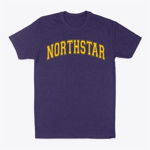 Northstar Junior High School Varsity Arch Classic Dad T-Shirt