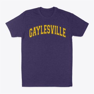 Gaylesville School Varsity Arch Classic Dad T-Shirt
