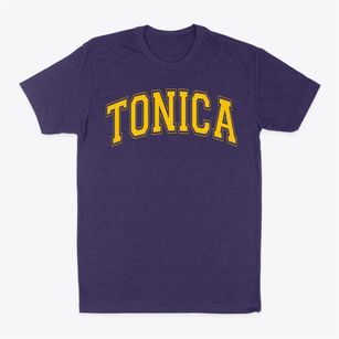 Tonica Community Grade School #79 Varsity Arch Classic Dad T-Shirt