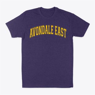 Avondale East Elementary School Varsity Arch Classic Dad T-Shirt