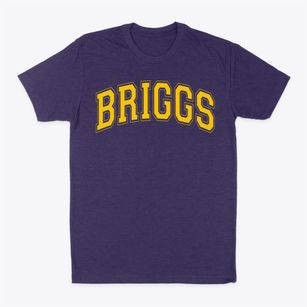 Briggs Fundamental School Varsity Arch Classic Dad T-Shirt