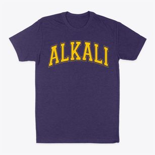 Alkali Elementary School Varsity Arch Classic Dad T-Shirt