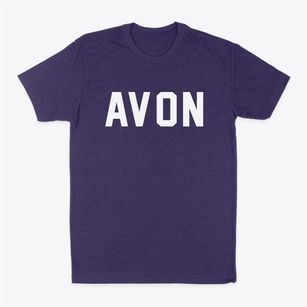 Avon New York Classic Block Classic Dad T-Shirt