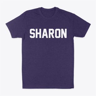 Sharon Wisconsin Classic Block Classic Dad T-Shirt