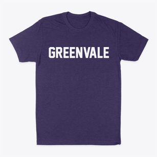Greenvale New York Classic Block Classic Dad T-Shirt