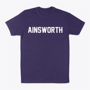 Ainsworth Wisconsin Classic Block Classic Dad T-Shirt