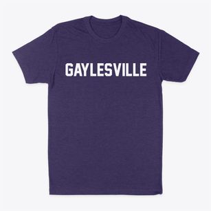 Gaylesville Alabama Classic Block Classic Dad T-Shirt